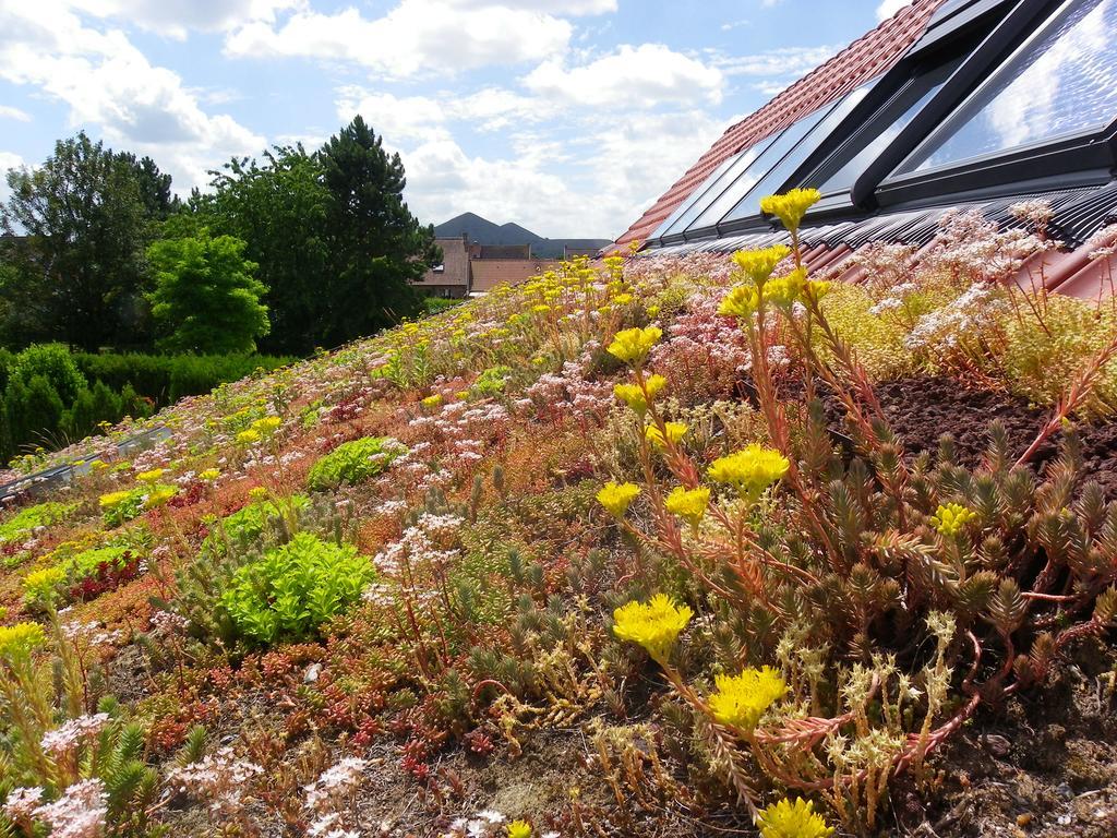 Вилла Fleur De Ciel Loos-en-Gohelle Экстерьер фото