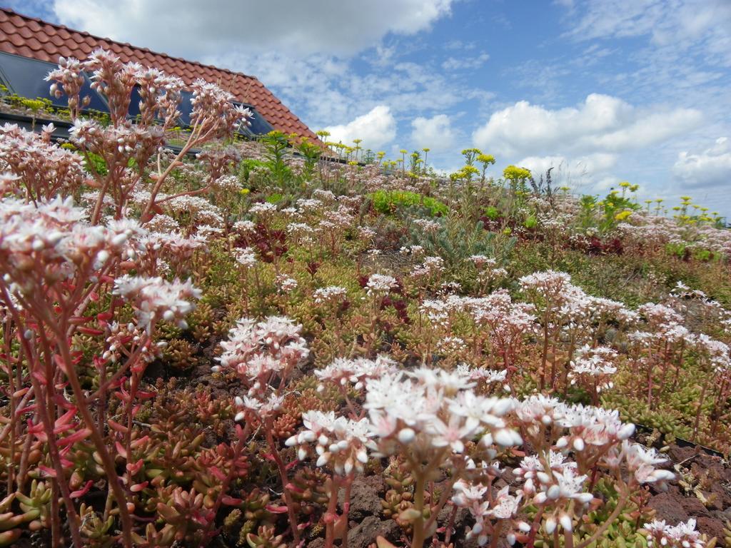 Вилла Fleur De Ciel Loos-en-Gohelle Экстерьер фото