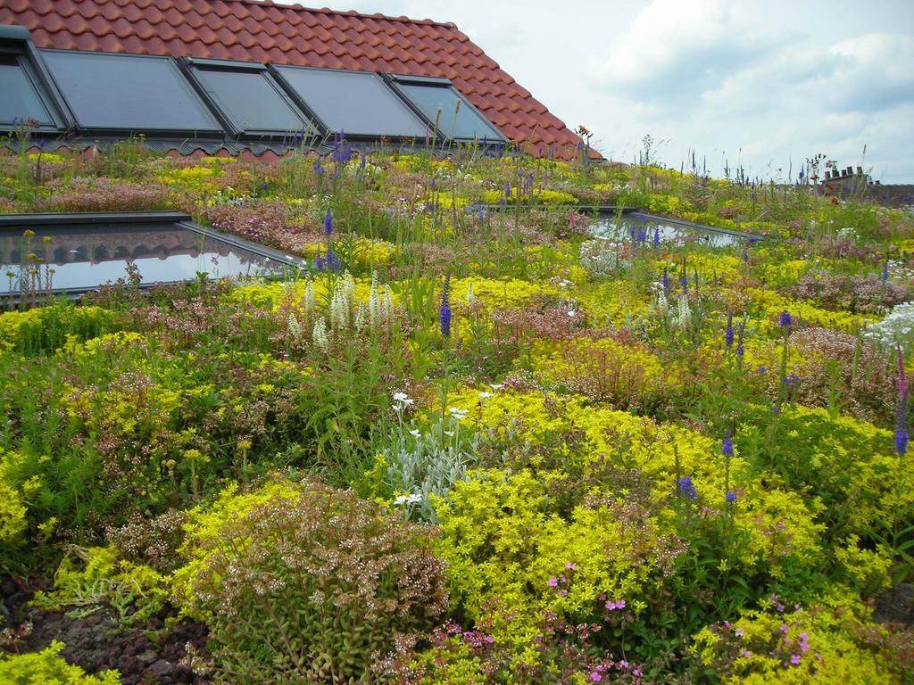 Вилла Fleur De Ciel Loos-en-Gohelle Экстерьер фото